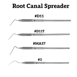 Root Canal Spreader Stainless Steel Instrument