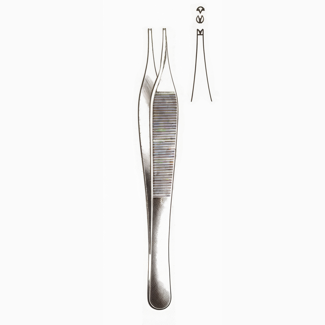Ewald Forceps Serrated Tips 4.75in