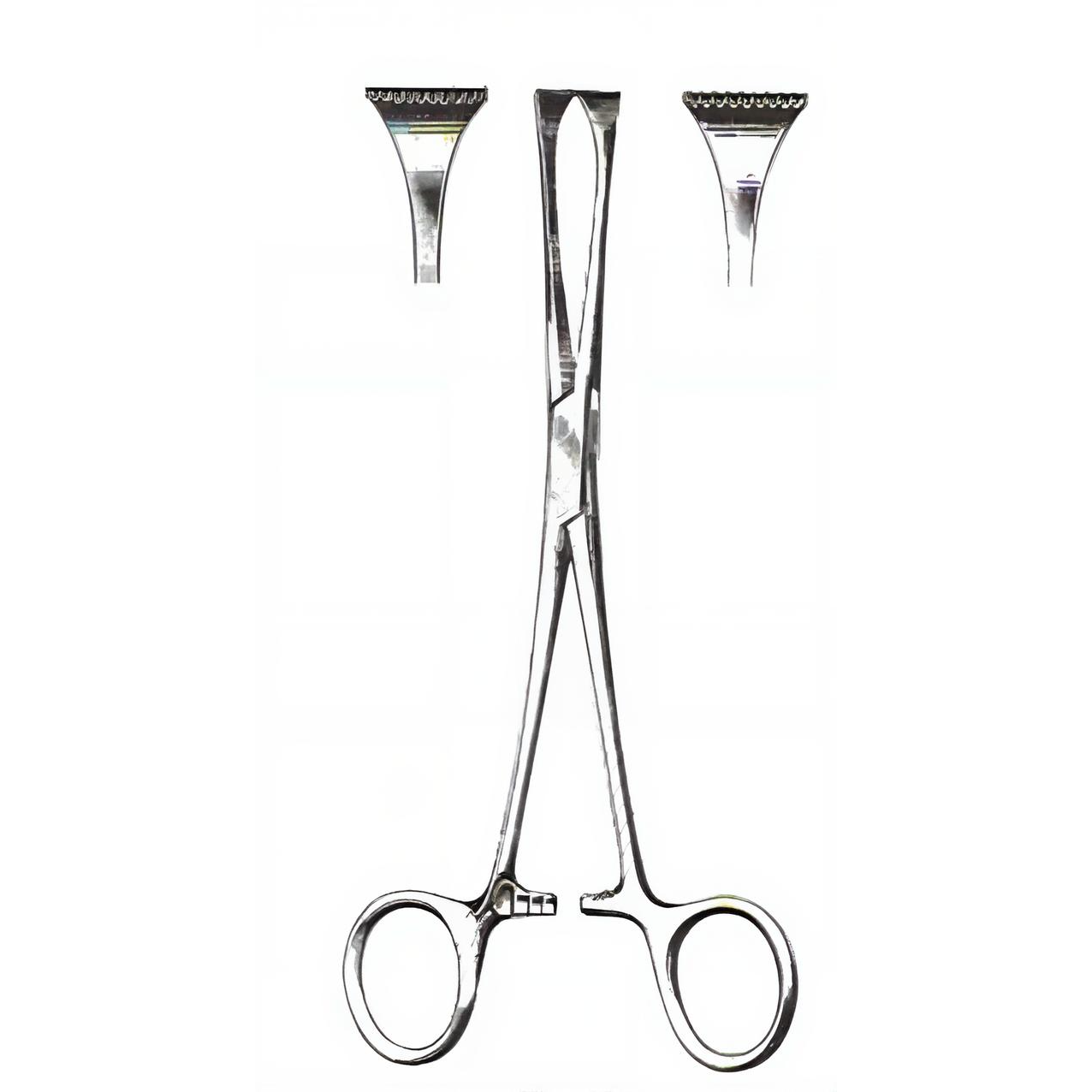 Allis-Adair Tissue Forceps 9x10 Teeth 6in