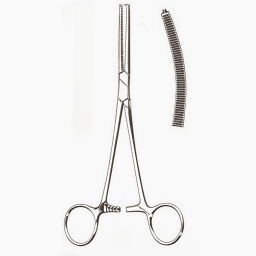 Rochester-Ochsner Hemostats Curved 1x2 Teeth 10 in