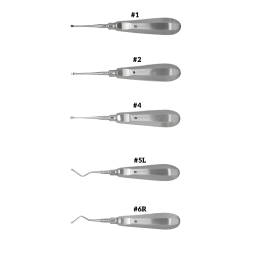 Molt Curette Surgical Steel Instrument