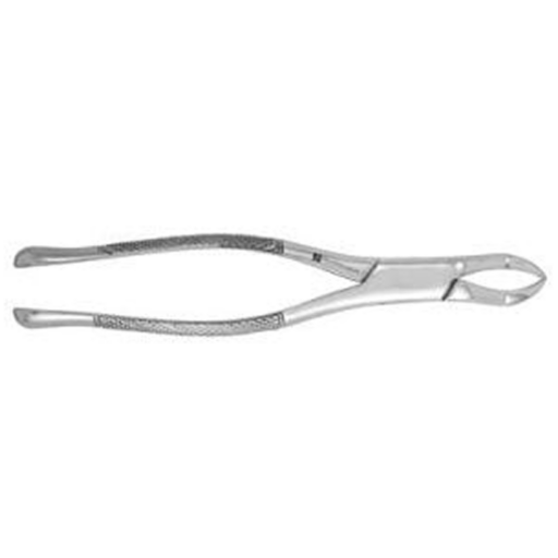 Extracting Forceps #88L