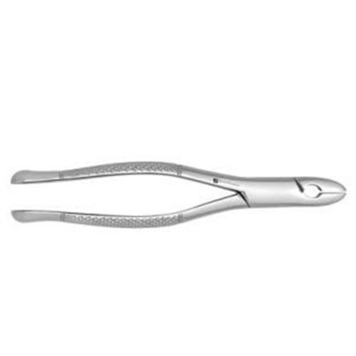 Extracting Forceps #99C