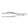 Extracting Forceps #101