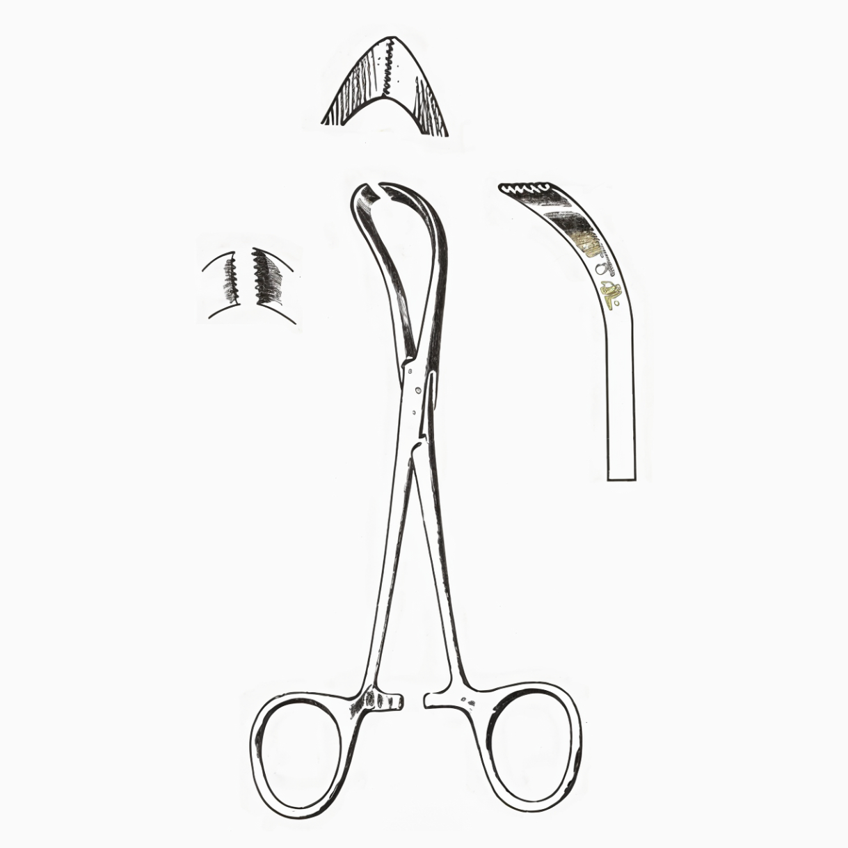 Lorna Towel Clamps 5.25in