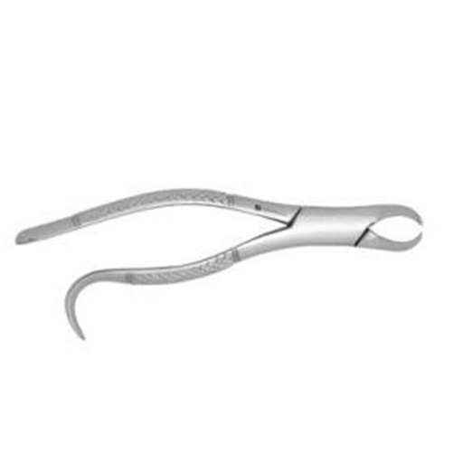 Pediatric Extracting Forceps #16S