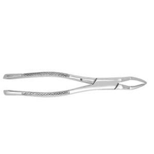 Extracting Forceps #65
