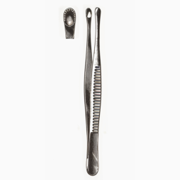 Russian Tissue Forceps 10 in