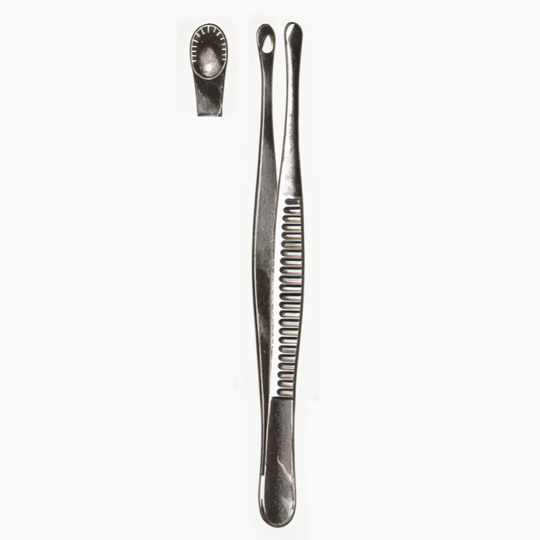Russian Tissue Forceps 8 in
