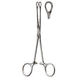 Williams Tissue Forceps 6.5in