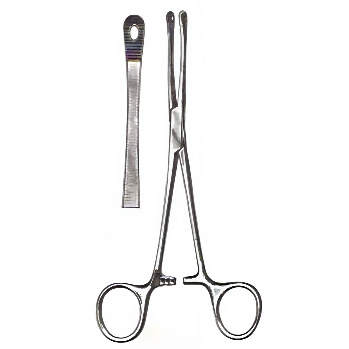 Percy Tissue Forceps 6in