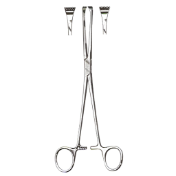 Thoms-Allis Tissue Forceps 6x7 Teeth 8in