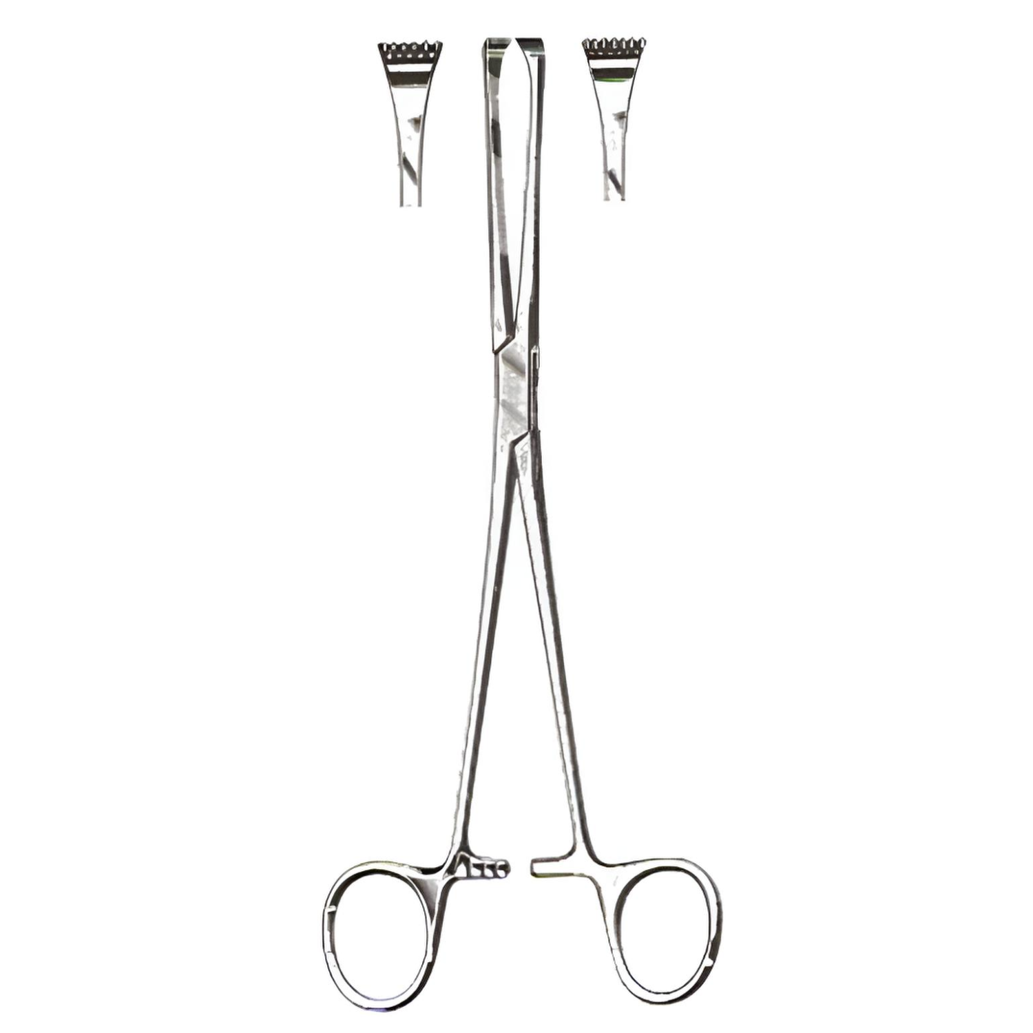 Thoms-Allis Tissue Forceps 6x7 Teeth 8in