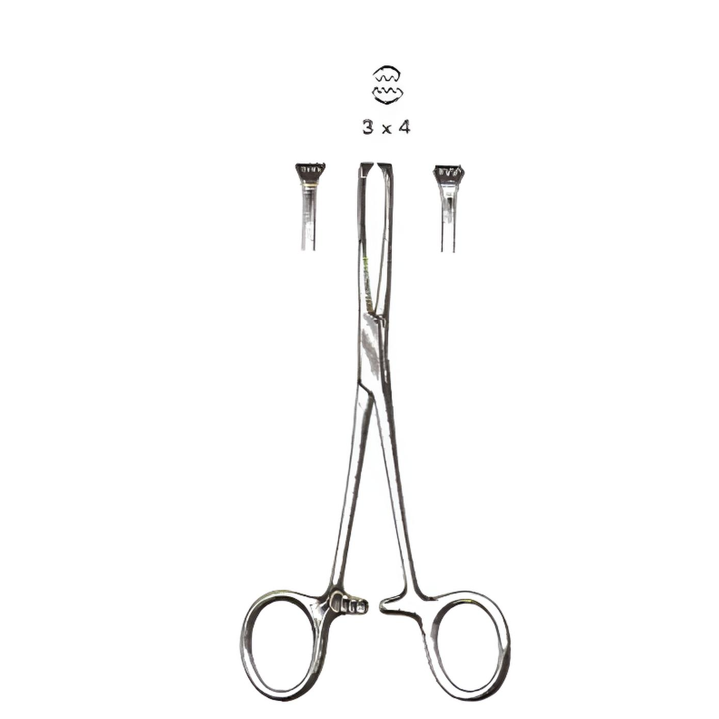 Allis Tissue Forceps 3x4 Teeth 5.5in