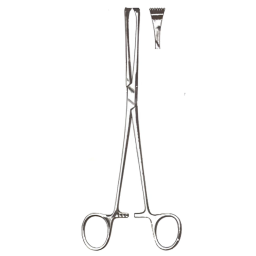 Allis Walluaer Tissue Forceps 10in