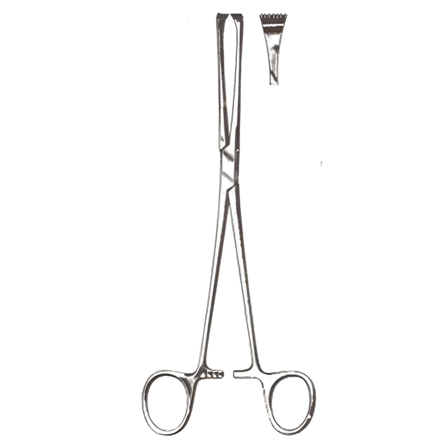 Allis Walluaer Tissue Forceps 10in