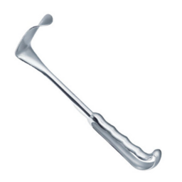Kelly Retractors, 10 in, Large, 2-1/2