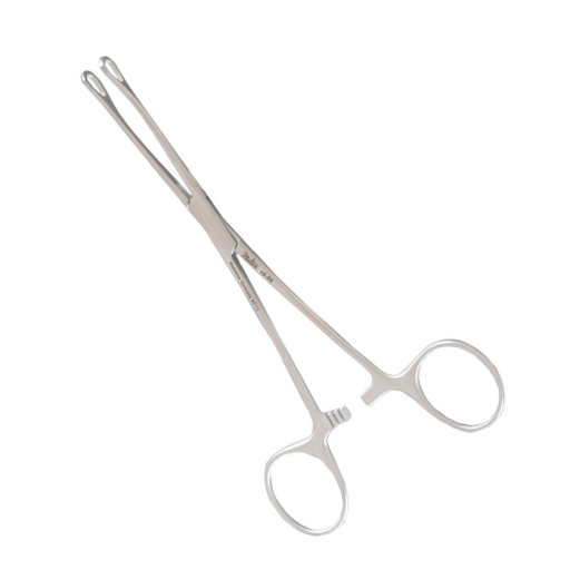 Williams Tissue Forceps, 6-1/2in