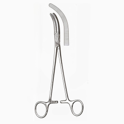 Moynihan Gall Duct Forceps 8.5 in