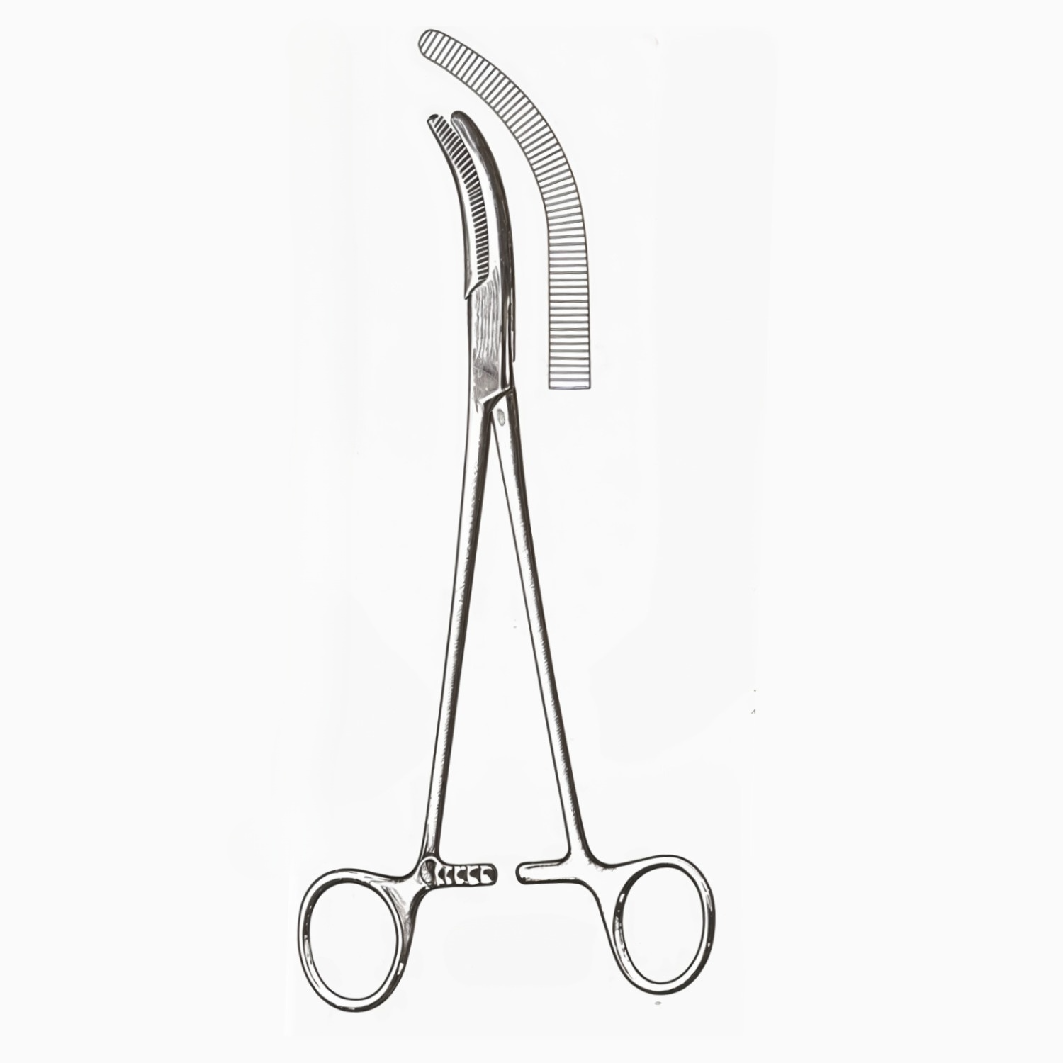 Moynihan Gall Duct Forceps 8.5 in
