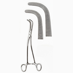 Gray Cystic Duct Forceps Serrated 9in Set of 2