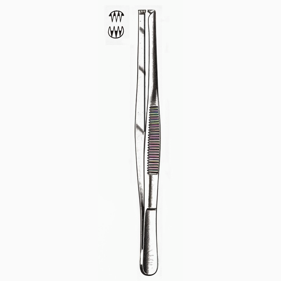 Tissue Forceps 3 x 4 Teeth 5.5in