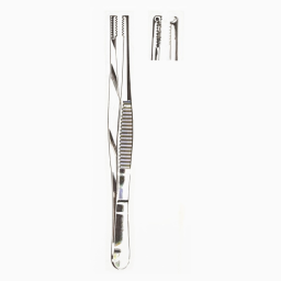 Brown Tissue Forceps 8 x 8 Side Grasping Teeth 6in