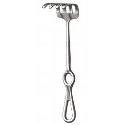 Israel Retractor 4 Prongs Blunt 8.5in