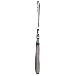 6in Fine Bone Saw