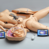 Maternal and Neonatal Birthing Simulator - Image 2