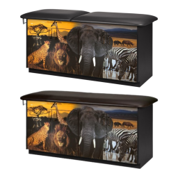 Safari Pediatric Treatment Table w/ 4 Doors & 2 Adjustable Shelves