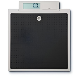 Flat Scale w/ Integrated Display