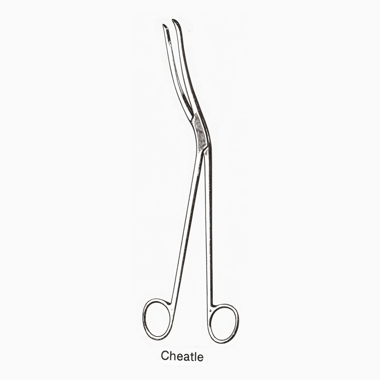 Cheatle Sterilizer Forceps