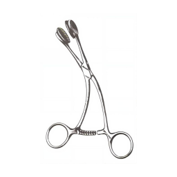 Young Tongue Forceps Stainless Steel