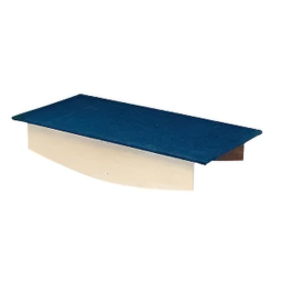 Vestibular Balance Board Physical Therapy Rehab