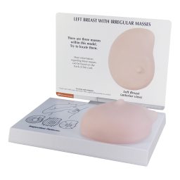 Left Breast Model w/ Irregular Masses