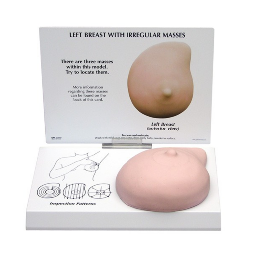 Left Breast Model w/ Irregular Masses