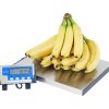 Dietary Scale w/ Remote Display - Image 3