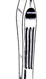 Carmalt (Walter) Splinter Forceps, Straight, 4-1/4 in