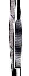 Douglas Cilia Forceps, 3 in