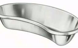 Emesis Basin