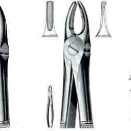 Extracting Forceps No. 69
