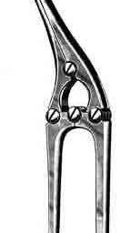 Payr Pylorous Clamps, 8 in