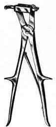 Sauerbruch Rib Shears, 10 in