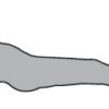 Suggested Usage