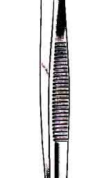 Tissue Forceps, 2 x 3 Teeth, 5-1/2 in