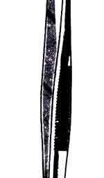 Tissue Forceps, Extra Fine, 1 x 2 Teeth, 5-1/2 in