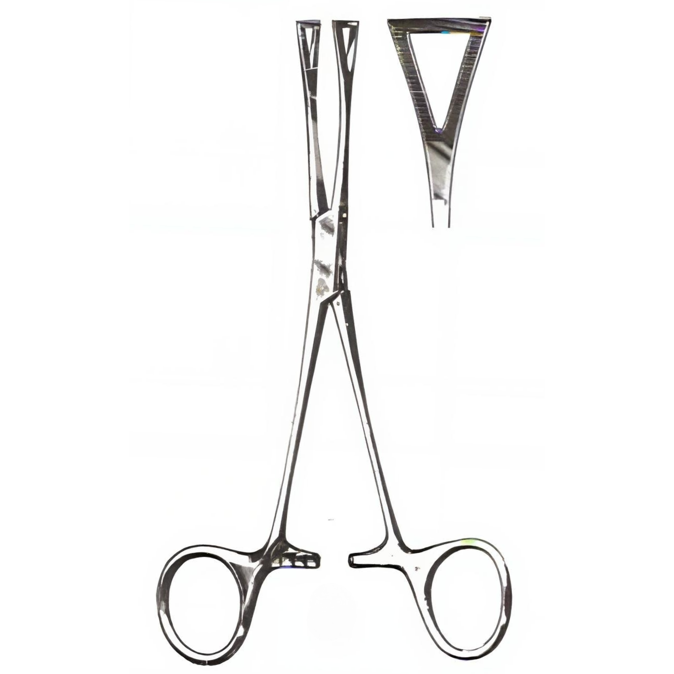 Pennington Forceps 6in