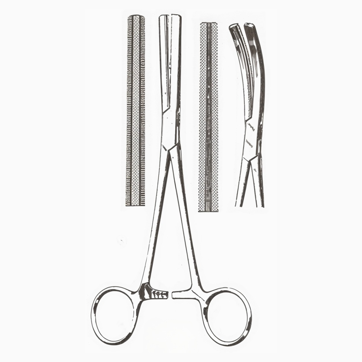 Ferguson Angiotribe Forceps Curved 7-1/2 in