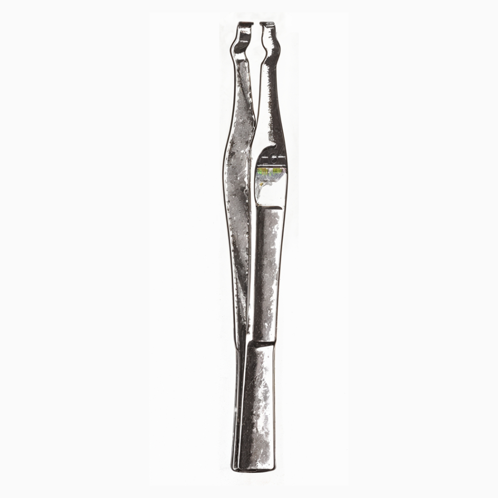 Wachtenfeld Clip Forceps, 5 in